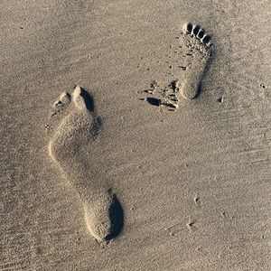 CJ_Deelz California Poshmark Love 🏝